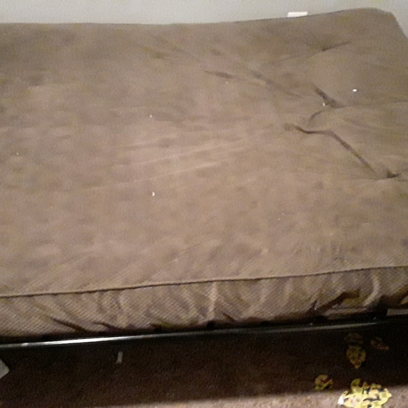 Bed and futon couch